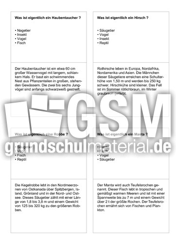 Tiernamen 85.pdf